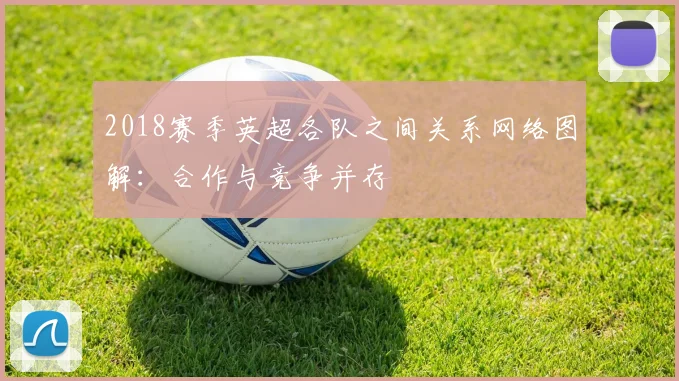 2018赛季英超各队之间关系网络图解：合作与竞争并存