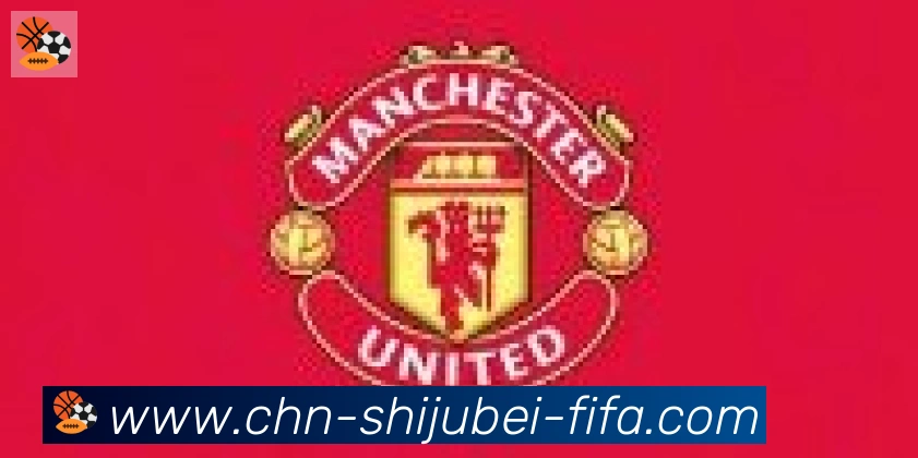 世界杯买球合作伙伴