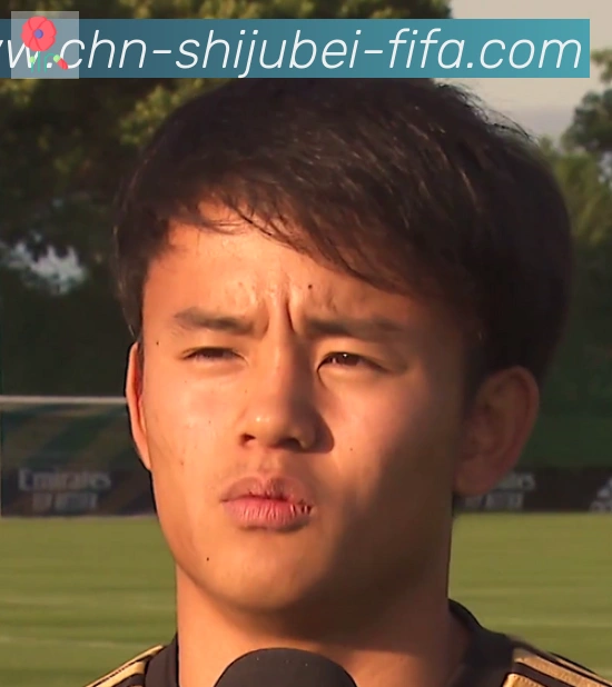 维尼修斯